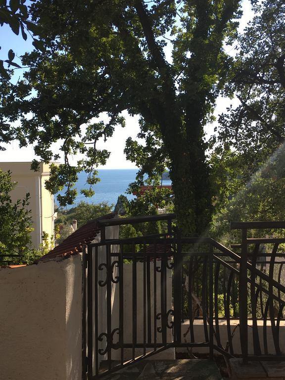 Villa Julia Petrovac Exterior foto